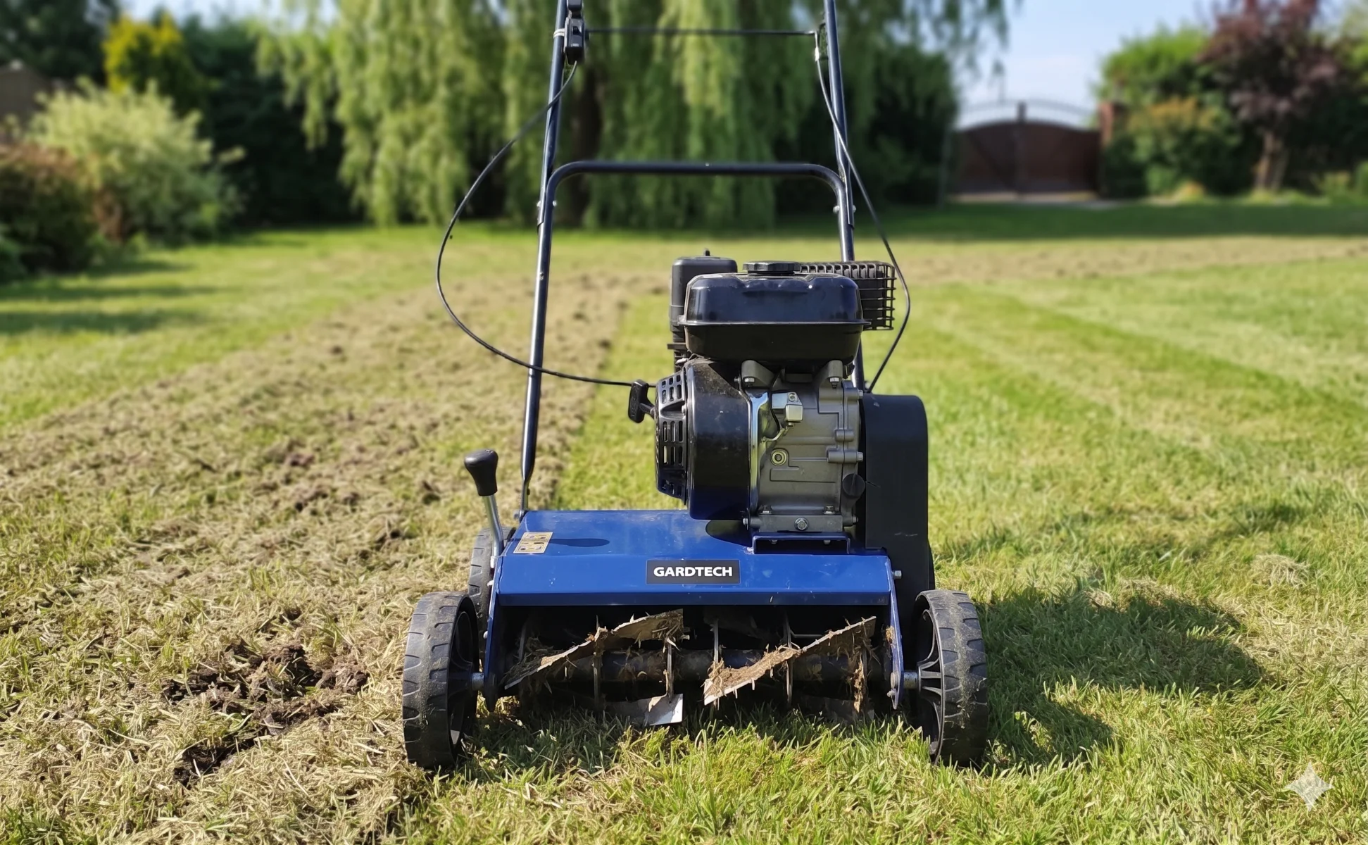 Wertykulator wyczesujący mech i filc z trawnika
